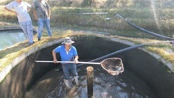 Captura de pantalla (759).png Captura de pantalla (759).png